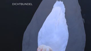 Boek van de Week: De laatste die ontwaakt