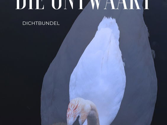 Boek van de Week: De laatste die ontwaakt