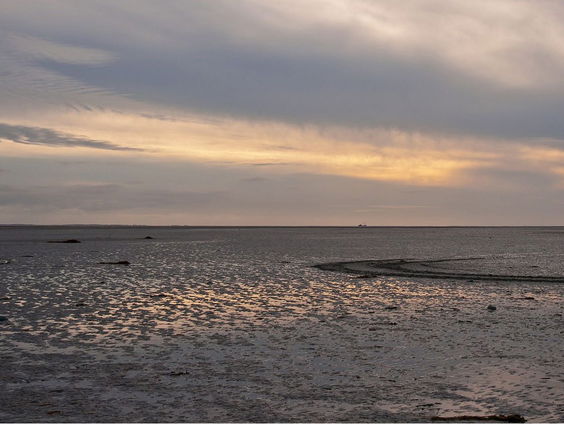 'Moedige vrouwen', een muzikaal eerbetoon op Schiermonnikoog