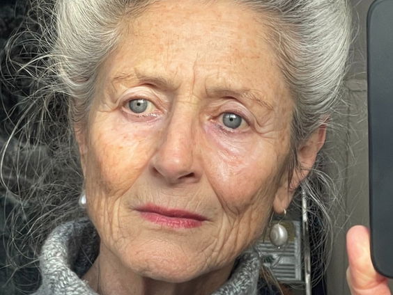 Het gesprek - Diana Blok