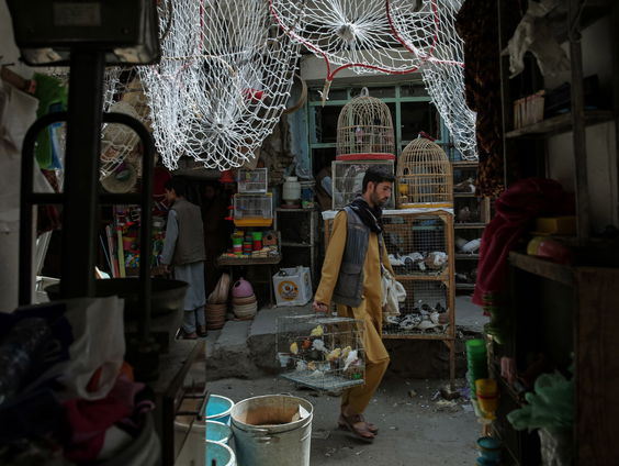 Taliban sluit internet volledig af in Afghanistan