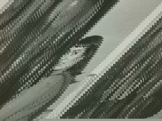 Een nieuwe blik van CoBrA-kunstenaar Else Alfelt