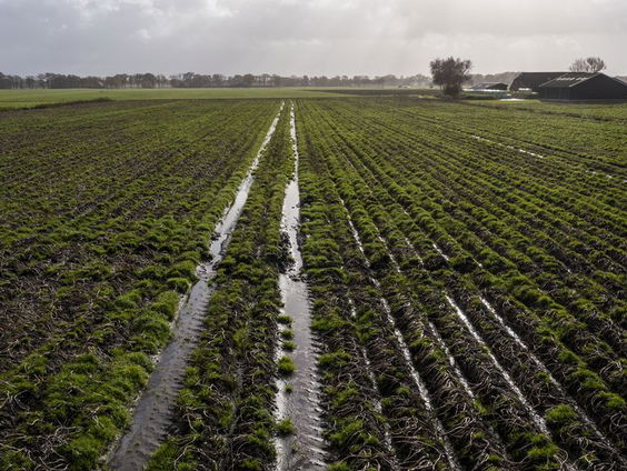 Hoe zorgen we voor voldoende boeren in de toekomst?
