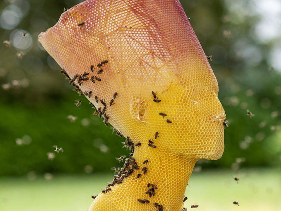 Museumtip: For Eternity in Museum Kranenburgh