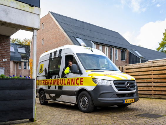 Vrijwilligers dierenambulance trotseren de sneeuw