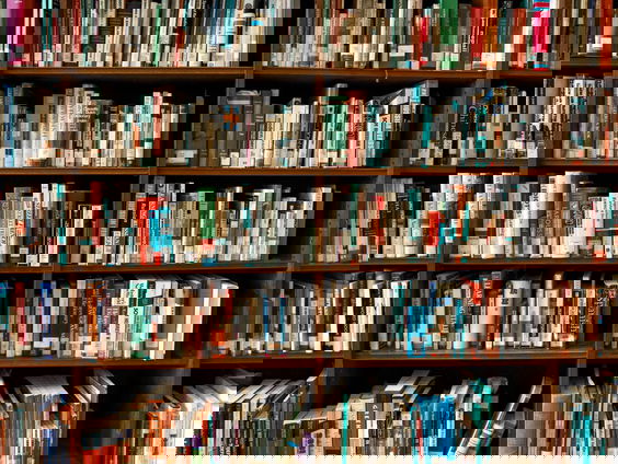 Schrijver Alma Mathijsen over vriendschappen in de literatuur