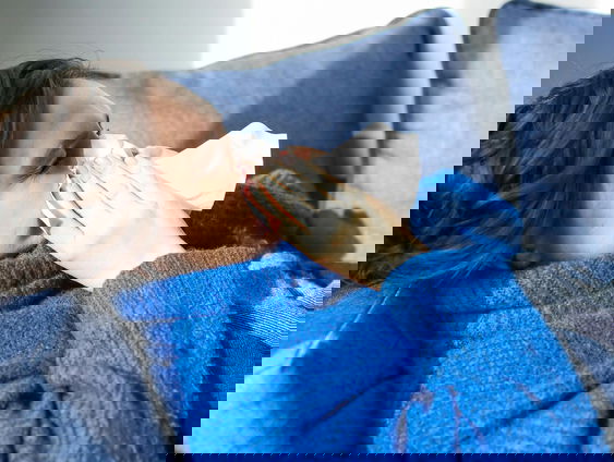 Franse gemeenten verbieden burgers ziek te worden