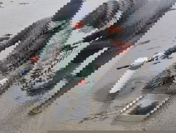 Onze natuur betaalt de prijs voor gaswinning in de Waddenzee