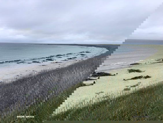 77 gestrande grienden in Schotland: wat is hier gebeurd?