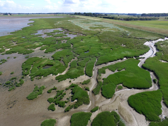 'de natuur is de beste buffer tegen klimaatverandering'