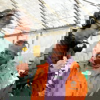 Henk van Steeg helpt in Rijswijk de bankjes opknappen!