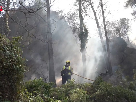 Nederlandse brandweermannen naar Spanje om te helpen en leren