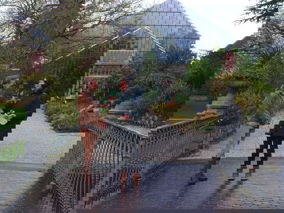 Zo klinkt de Hortus Botanicus te Leiden