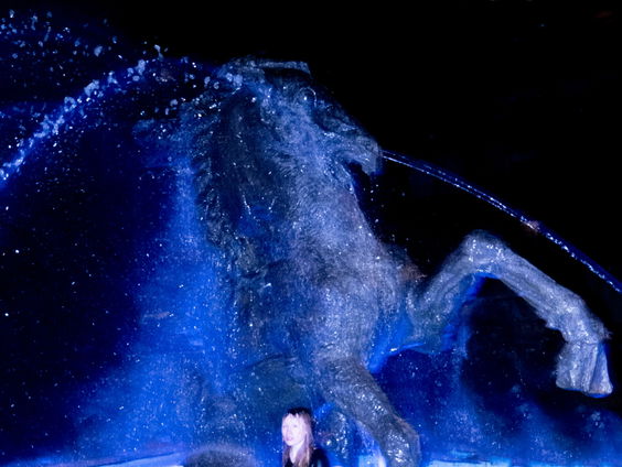 Het talent: Elvis de Launay