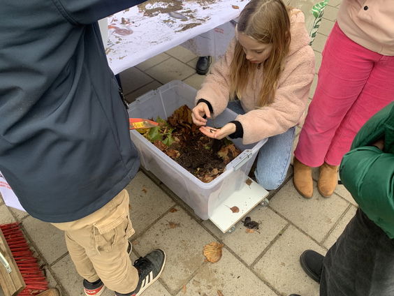 Hotel voor de regenworm