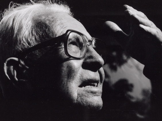 Kees Stip, iconische dichter van 'beestenversjes'