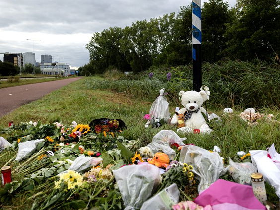 Advocaat familie Lisa en ander slachtoffer reageren op feit dat 1700 politiemensen naar dossier keken