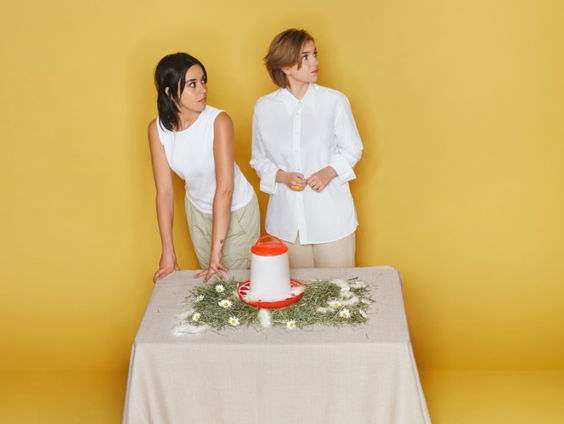 Het gesprek - Roos Bottinga