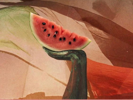 Waarom er ruimte moet zijn voor patiënten en zorgverleners in de GGZ om over Gaza te praten