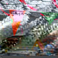 Gerja Wolf over de grote vrijwilligersactie NLdoet op NPO Radio 5