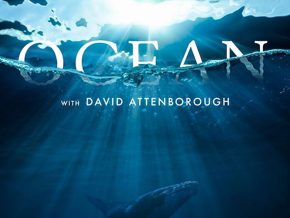 De Filmtip van Ab Zagt: Ocean