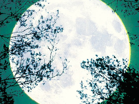 Boek van de Week: Lasso om de maan