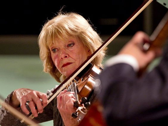 Waarom kunnen sommige instrumenten slecht tegen de hitte?