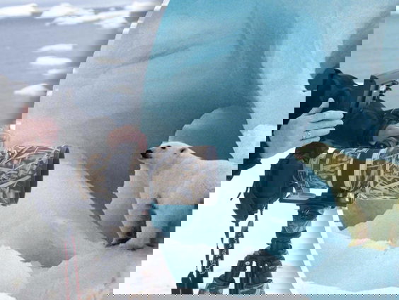 Wim van Passel maakte 30 jaar lang foto's voor het Wereld Natuur Fonds