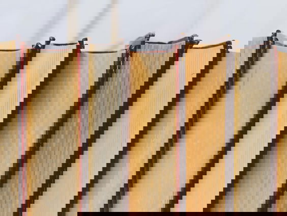 De LeesBV: Hoe Giséle Pelicot de schaamte laat wisselen van kamp