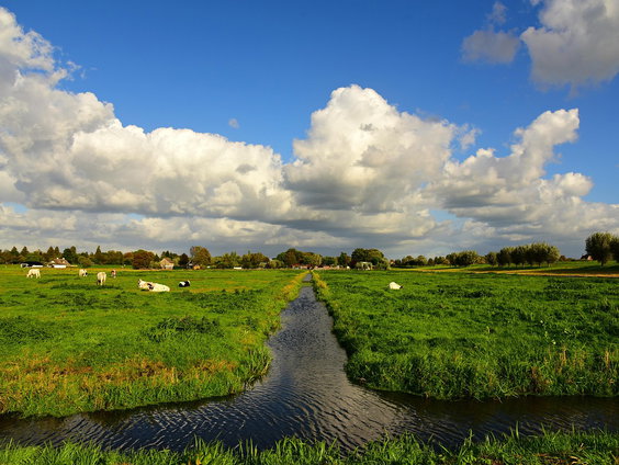 Nederland droogteland: Zijn we voorbereid op extreme droogte?