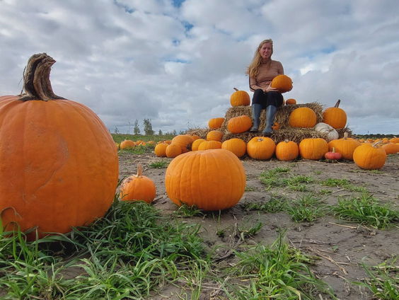 Nieuwe herfsttrend: poseren tussen duizend pompoenen