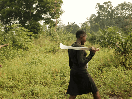 Het bittere verhaal achter jouw chocoladereep