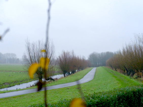 Polder bij Dordrecht wordt onder water gezet, tegen wil van gemeente in