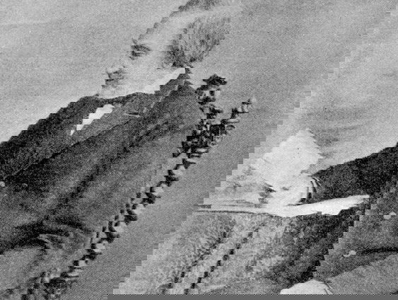 Wiekent Robert Franz?