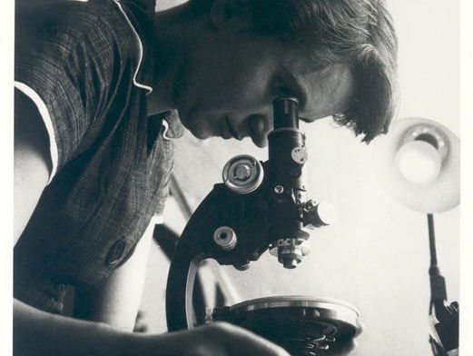 Het Matilda-effect: Rosalind Franklin ontdekte 'the secret of life'