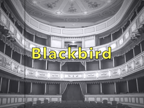 De Karaokemachine: Blackbird