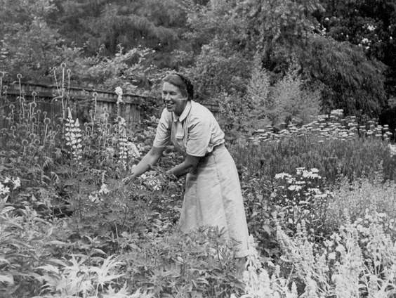 Het Spoor Terug: Strak & wild: portret van Mien Ruys