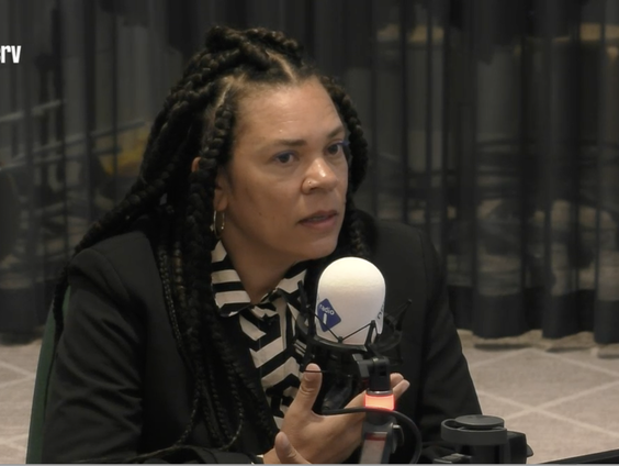 Babs Gons over de Dichter der Nederlanden