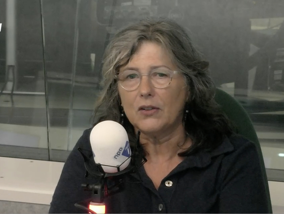 Bijzonder hoogleraar Joke Hermes over de rol van tv in ons taalgebruik