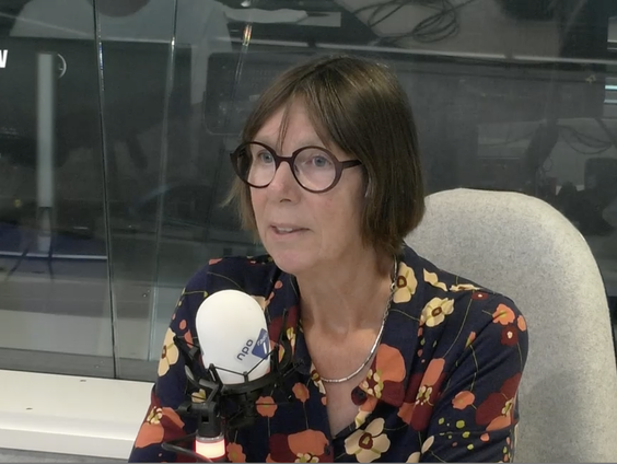 Bette Westera over Er vloog een vliegje in de vla