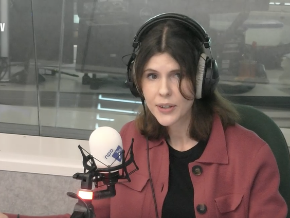 De Taalschatten: Else Boer over Halewijn