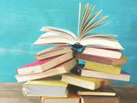 Nederlandse kinderen kunnen slecht lezen. Lost een zak geld dat op?