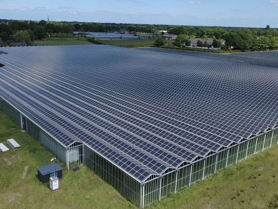 Steeds meer kassen met alleen zonnepanelen en zonder teelt? Zo zit dat