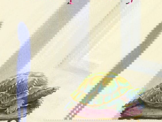 Boek van de Week: Schildpadmeisje