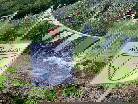 Schooltuinpilot op oude terp leert Friese kinderen tuinieren