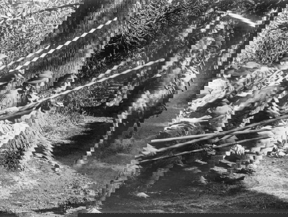 Filmtip - Retrospectief Akira Kurosawa