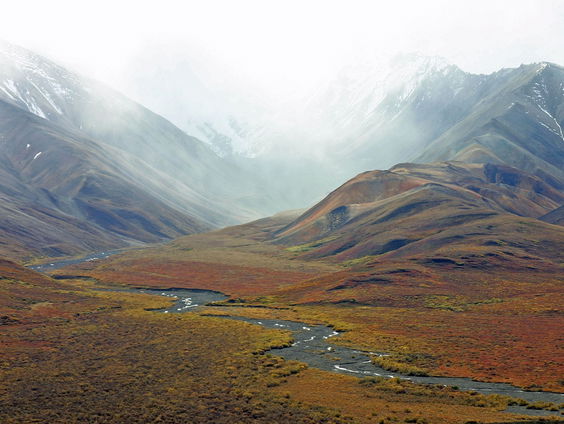 Kettingreactie 28 oktober 2024