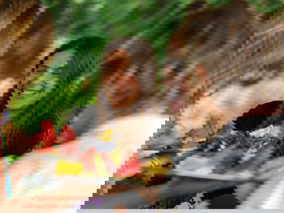 De sojaboon moet in onze Tijdcapsule, volgens Veerle Vrindts