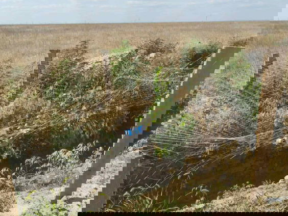 Visnetten uit Nederland beschermen Oekraïense soldaten