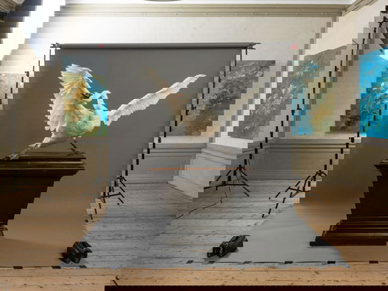 Kunst van opgezette dieren: 'Inspiratie uit de 17e eeuw'